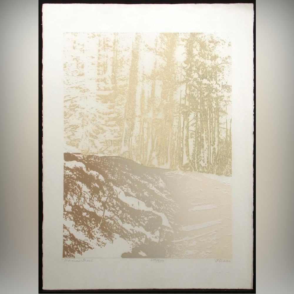 Paula Crane "Moraine Trail" Hand Signed Ltd ed Art Etching, hiking, MAKE OFFER!